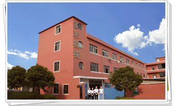 多米機(jī)械:改變世界新動(dòng)力，革新行業(yè)新格局